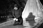 نمایش 