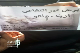 در پلاتو موسسه فرهنگی فرهنگی تی داوود

نمایش«برش غیر انتفاعی از یک چاقو» در زرین شهر روی صحنه رفت