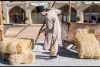 فضا سازی و باز سازی فرهنگ،   و رفتار مردم اصفهان از دوره قاجار در ایام نوروز