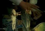 گالری عکس نمایش پیله ام در کرمهای ابریشم کاری از هادی عسکری